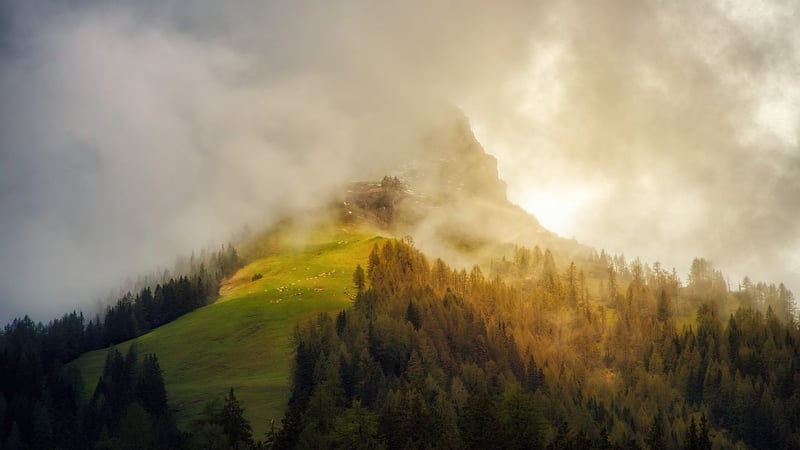 Elven Kingdoms